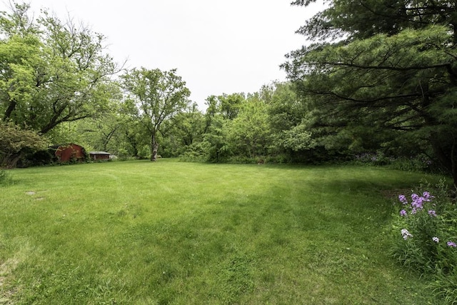 301 Garnett Ave, Winthrop Harbor, IL 60096 - view of grassy yard