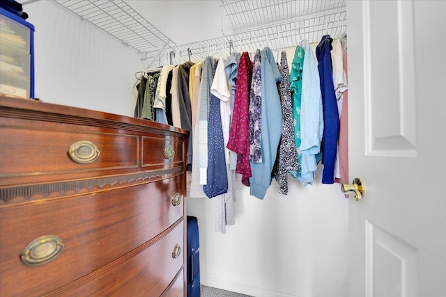 view of walk in closet