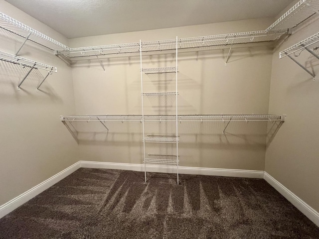 1406 Myrtle Beach Ave, Champaign, IL 61822 - walk in closet with carpet