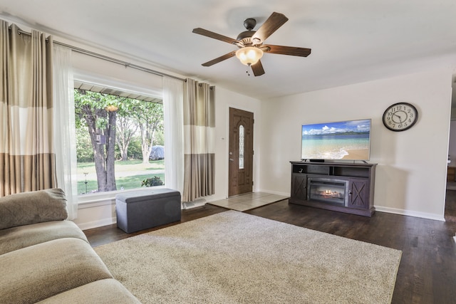 11341 S Nagle Ave, Worth, IL 60482 - living room featuring a ceiling fan, baseboards, dark wood-style floors, and a glass covered fireplace