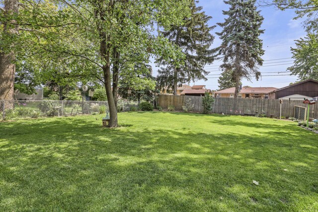 11341 S Nagle Ave, Worth, IL 60482 - view of yard