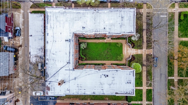 bird's eye view