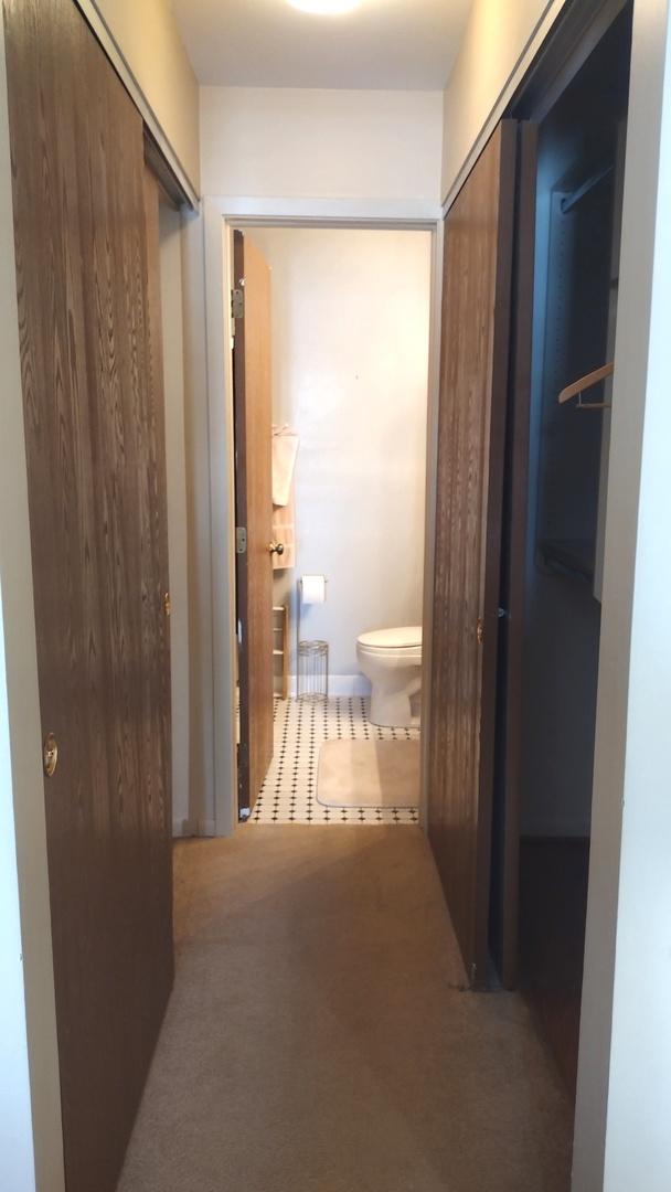 corridor featuring carpet floors