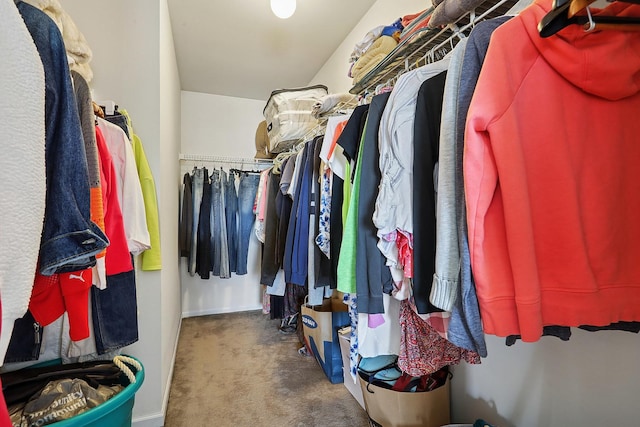 spacious closet with carpet
