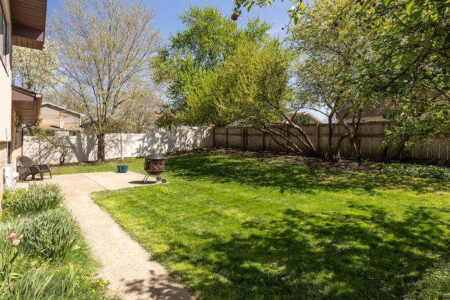 view of yard featuring a fenced backyard and a patio area