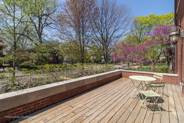 6907 S Constance Ave, Chicago, IL 60649 - view of deck