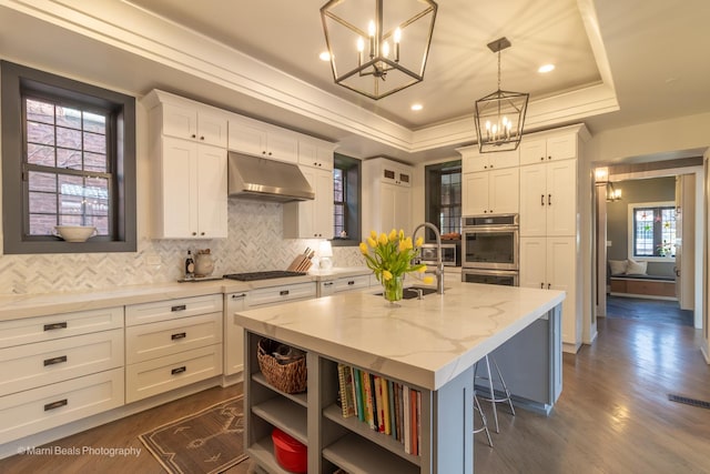 6907 S Constance Ave, Chicago, IL 60649 - kitchen with under cabinet range hood, a tray ceiling, a chandelier, and decorative backsplash