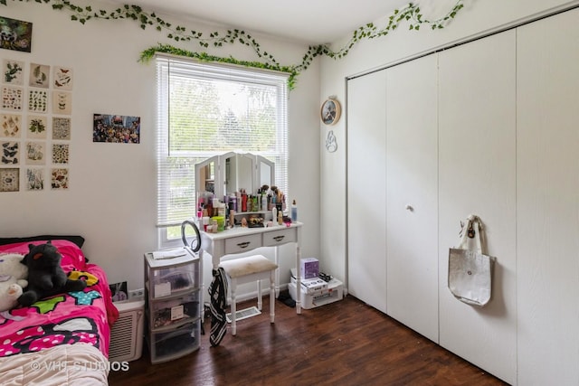 2048 Navarone Dr, Naperville, IL 60565 - bedroom with dark wood-style flooring and a closet