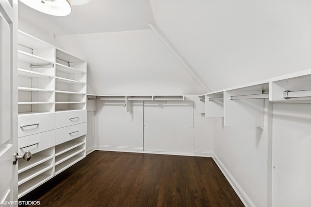 spacious closet with dark wood-style flooring