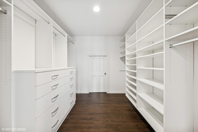 walk in closet featuring dark wood-type flooring