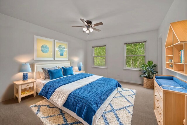 848 Stewart St, Batavia, IL 60510 - bedroom featuring carpet, baseboards, and ceiling fan