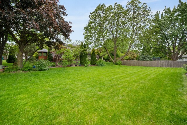 848 Stewart St, Batavia, IL 60510 - view of yard