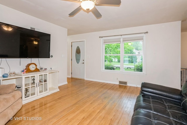 224 Howard Ave, East Dundee, IL 60118 - living area with light wood-style floors, ceiling fan, and baseboards
