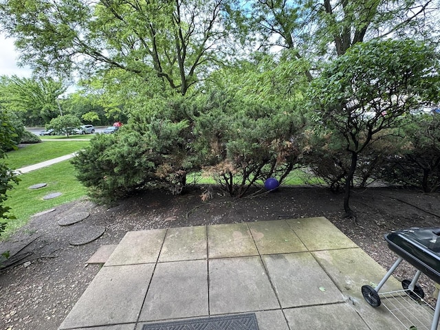 420 Walnut Creek Ln Unit 3103, Lisle, IL 60532 - view of patio / terrace