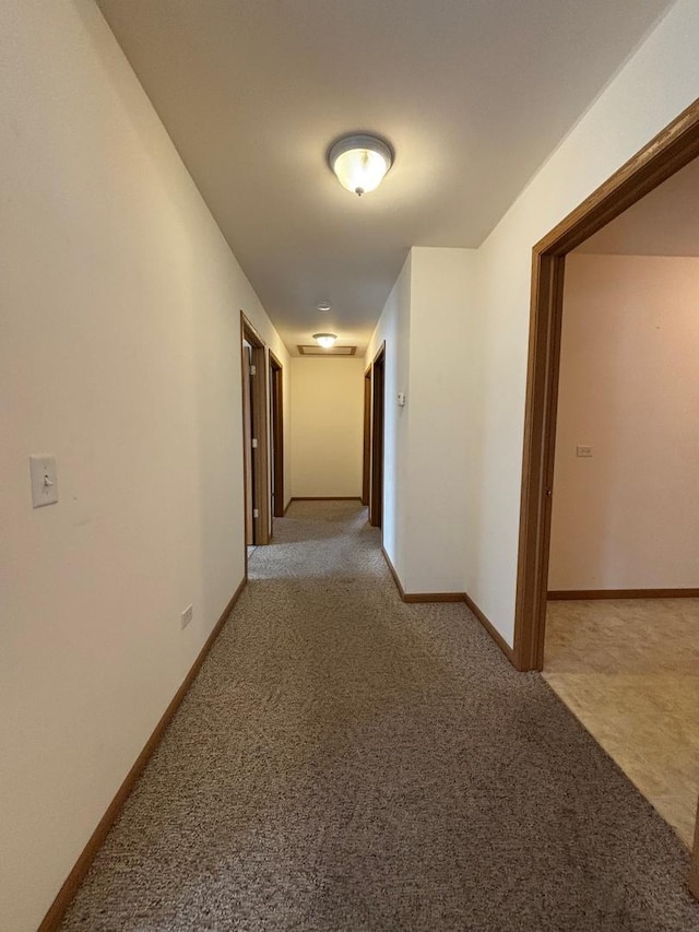 25564 W Arcade Dr N, Lake Villa, IL 60046 - photo 20