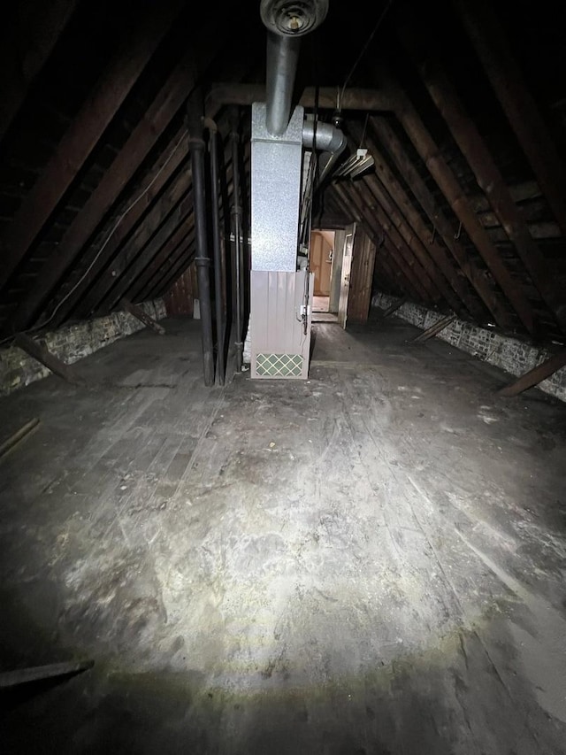 2342 S Trumbull Ave, Chicago, IL 60623 - attic with heating unit