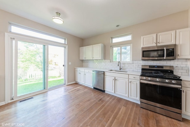403 W Boxwood Ct, Round Lake, IL 60073 - kitchen with appliances with stainless steel finishes, a sink, light wood finished floors, light countertops, and healthy amount of natural light