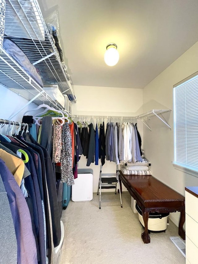 walk in closet with visible vents and carpet