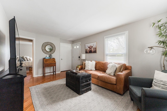 living room featuring light wood-style flooring
