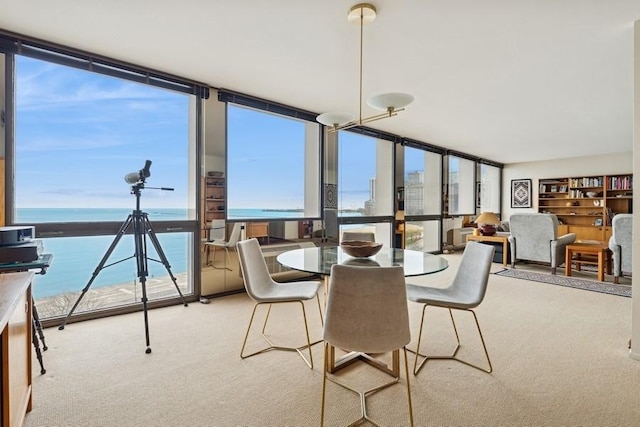 1240 N Lake Shore Dr Unit 9B, Chicago, IL 60610 - sunroom featuring a water view