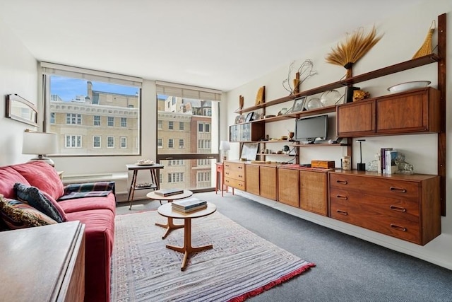 1240 N Lake Shore Dr Unit 9B, Chicago, IL 60610 - interior space featuring carpet floors