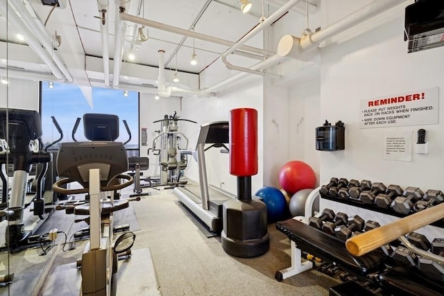 1240 N Lake Shore Dr Unit 9B, Chicago, IL 60610 - view of exercise room