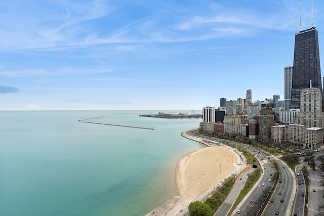 1240 N Lake Shore Dr Unit 9B, Chicago, IL 60610 - property view of water with a city view