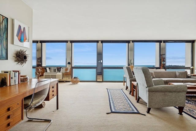 1240 N Lake Shore Dr Unit 9B, Chicago, IL 60610 - carpeted living room with a wall of windows