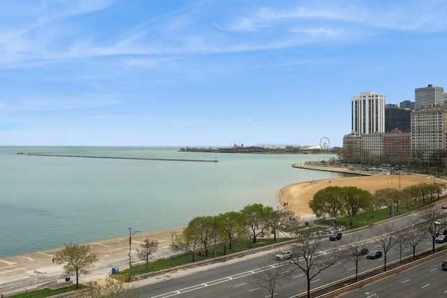 1240 N Lake Shore Dr Unit 9B, Chicago, IL 60610 - view of water feature with a view of city
