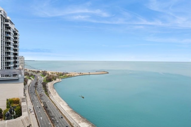 1240 N Lake Shore Dr Unit 9B, Chicago, IL 60610 - property view of water