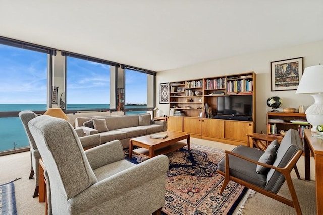 1240 N Lake Shore Dr Unit 9B, Chicago, IL 60610 - living area with a water view and carpet