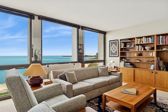 1240 N Lake Shore Dr Unit 9B, Chicago, IL 60610 - living area with a water view