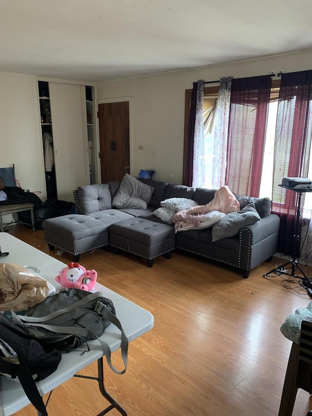 living room with a healthy amount of sunlight and wood finished floors