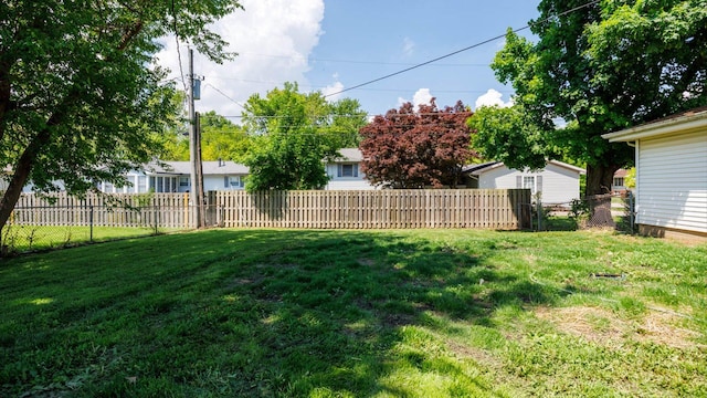 1201 S Mercer Ave, Bloomington, IL 61701 - view of yard