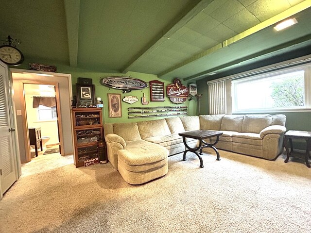 view of carpeted living area