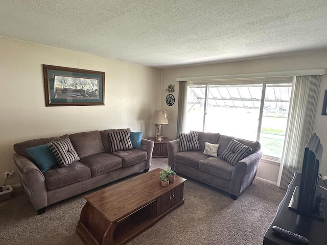carpeted living area with a textured ceiling and a healthy amount of sunlight