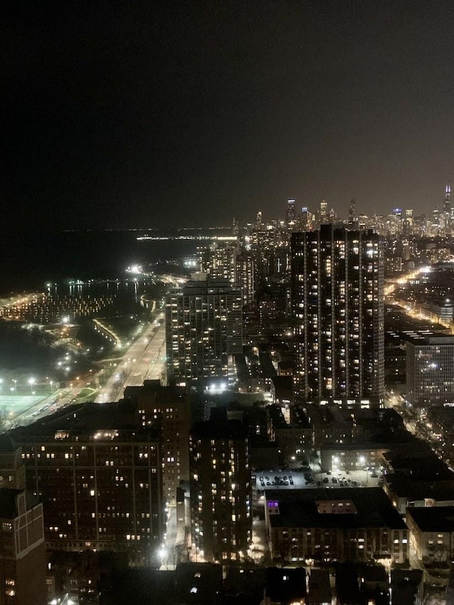 655 W Irving Park Rd Unit 4417, Chicago, IL 60613 - view of city