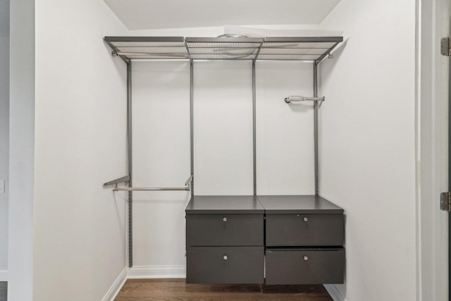 walk in closet with dark wood-style floors