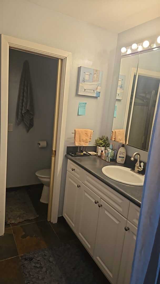 7013 W Greenleaf Ave, Niles, IL 60714 - bathroom featuring toilet, tile patterned floors, and vanity