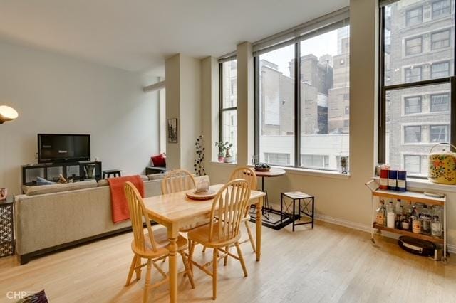 dining area with baseboards, a healthy amount of sunlight, and light wood-style floors
