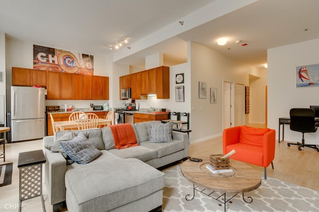 living room featuring light wood-style floors, baseboards, and track lighting