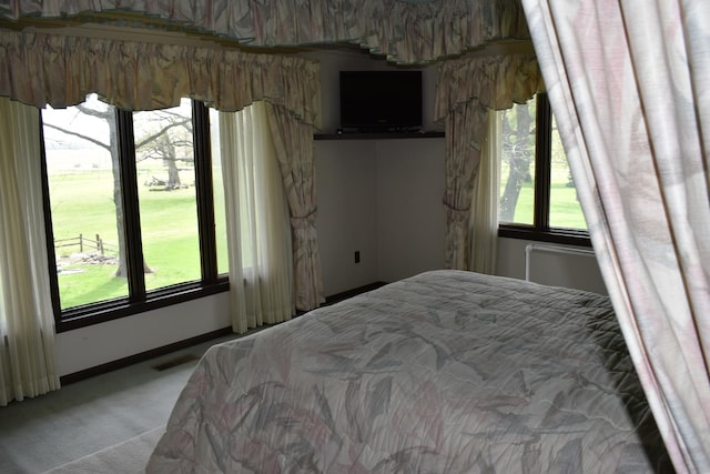 bedroom featuring baseboards, multiple windows, visible vents, and light colored carpet