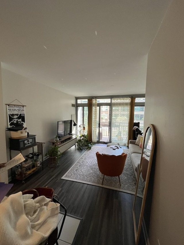 living room featuring a healthy amount of sunlight, a wall of windows, and wood finished floors