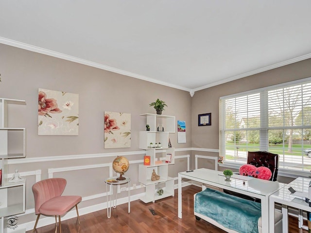 office with crown molding, wood finished floors, and a wainscoted wall