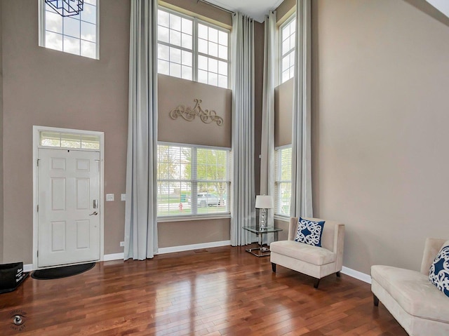 entrance foyer with baseboards, a high ceiling, wood finished floors, and a wealth of natural light