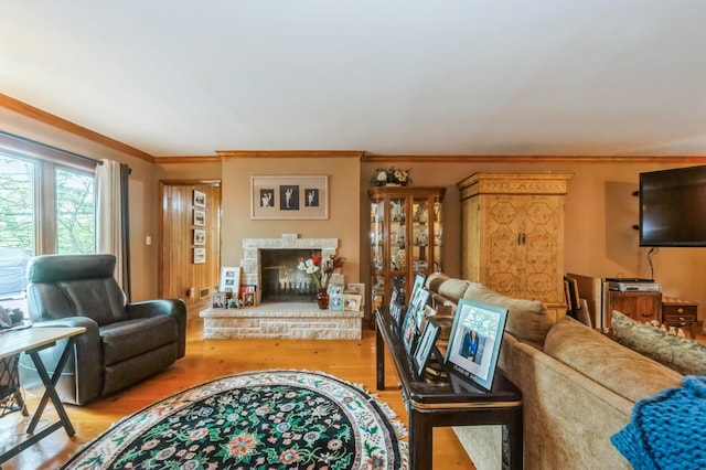 257 Banbury Rd, Mundelein, IL 60060 - living area featuring ornamental molding, a fireplace, and wood finished floors