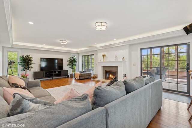 30 Rue Foret, Lake Forest, IL 60045 - living area with wood finished floors, healthy amount of natural light, a tray ceiling, a lit fireplace, and recessed lighting