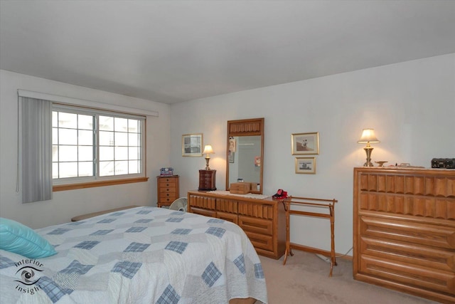 bedroom with carpet floors