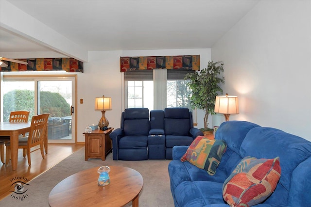 living area featuring plenty of natural light