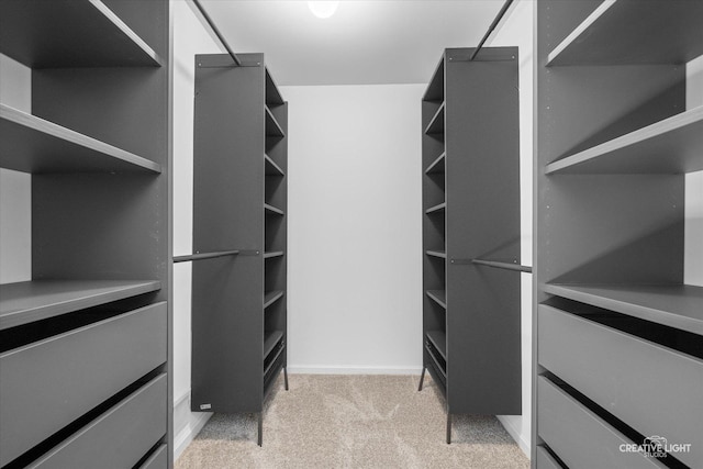 1207 Pennsbury Ln, Aurora, IL 60502 - walk in closet featuring light carpet